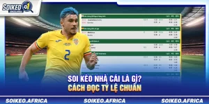 Soi Kèo Nhà Cái Là Gì? Cách Đọc Tỷ Lệ Chuẩn