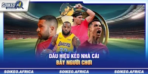 Dấu Hiệu Kèo Nhà Cái Bẫy Người Chơi