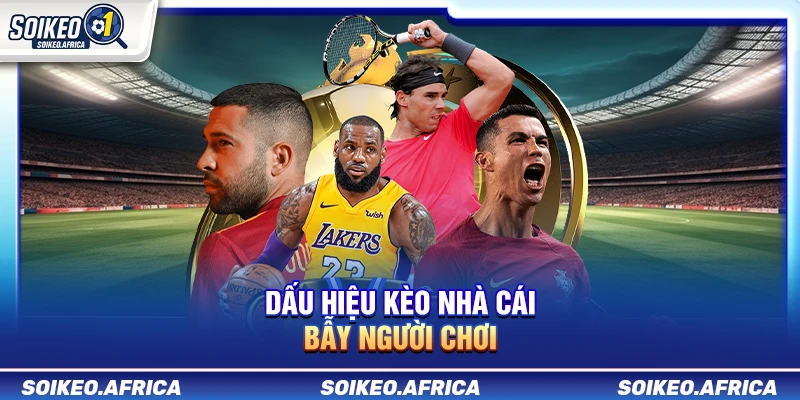 Dấu Hiệu Kèo Nhà Cái Bẫy Người Chơi
