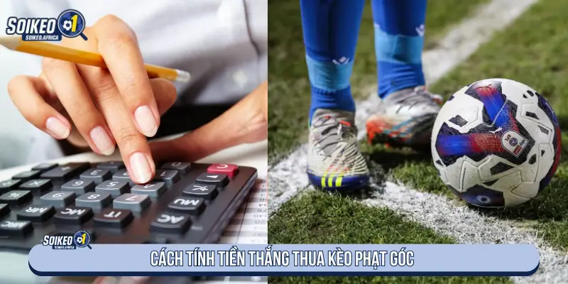 Cách tính kết quả kèo phạt góc
