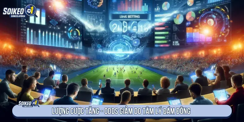 Lượng quan tâm tăng - Odds giảm do tâm lý đám đông