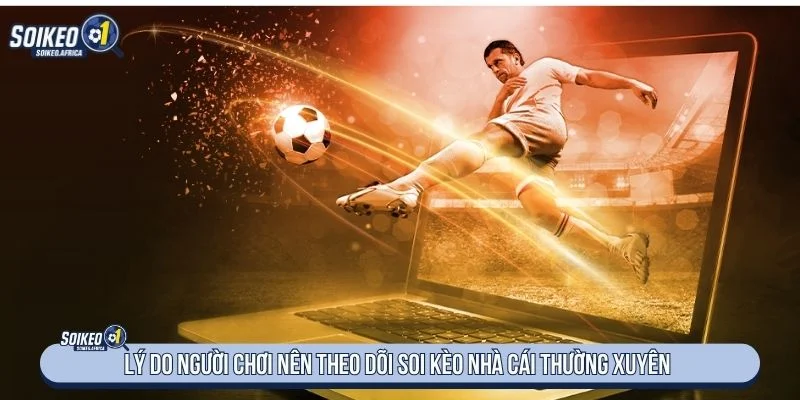 Theo dõi dữ liệu tỷ lệ giúp người xem có góc nhìn dài hạn hơn