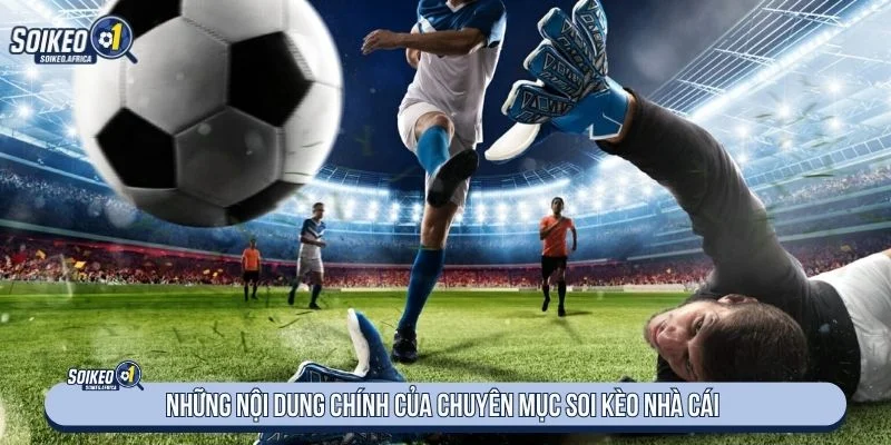 Danh mục cung cấp nhiều nội dung về tỷ lệ và biến động kèo