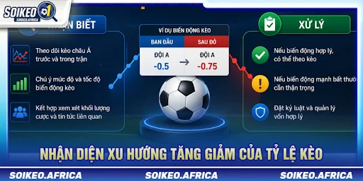 Đọc tỷ lệ kèo châu Á trước trận và nhận diện xu hướng tăng giảm