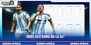 odds kèo bóng đá là gì