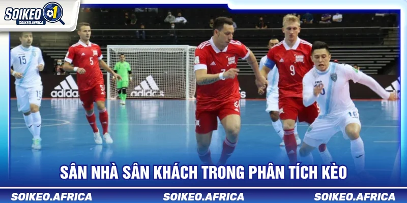 Sân nhà sân khách trong phân tích kèo