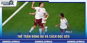 Thế trận bóng đá và cách đọc kèo