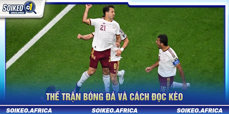 Thế trận bóng đá và cách đọc kèo