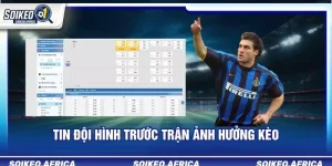 tin chấn thương và án treo giò
